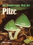 die-wundersame-welt-der-pilze